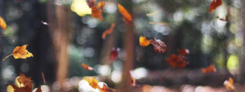 Essential Health and Safety Training