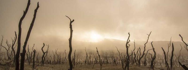 Blended Paediatric First Aid v1