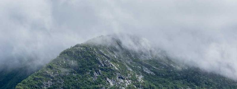 Environmental Awareness