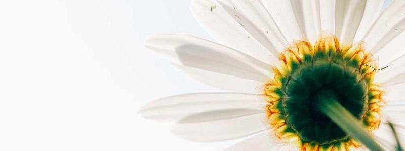 Hand Arm Vibration Awareness