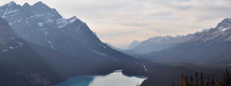 Infection Prevention and Control